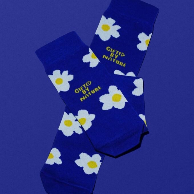 Blue Daisies Socks