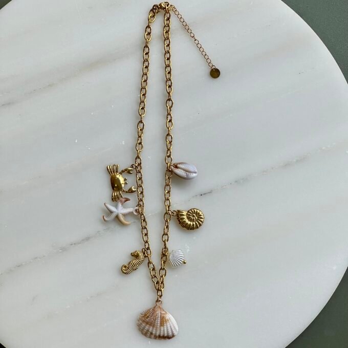 Seashell Necklace