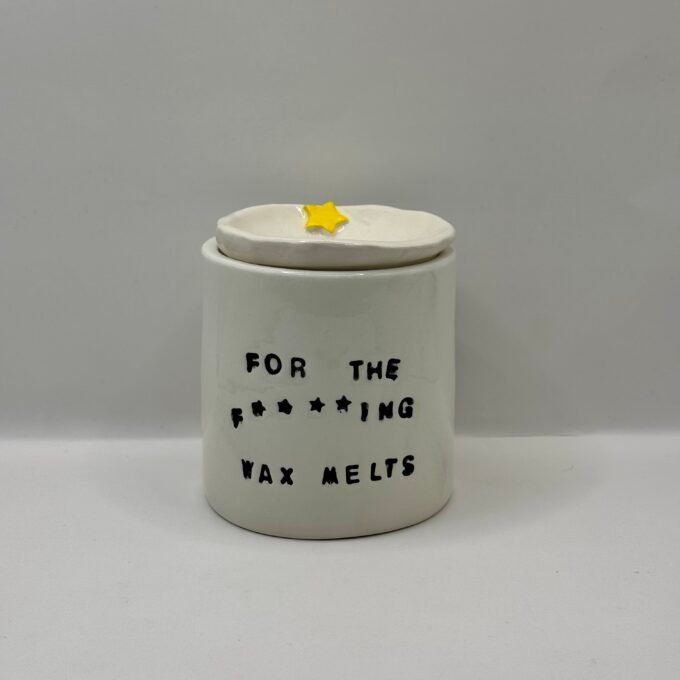 For the F****ing Wax Melts - Wax melter